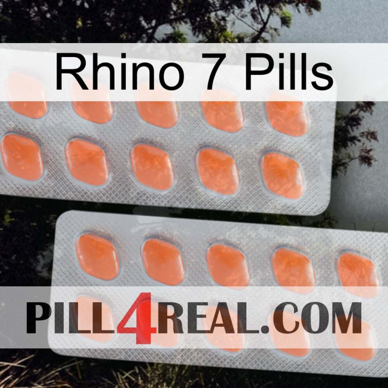 Rhino 7 Pills 27
